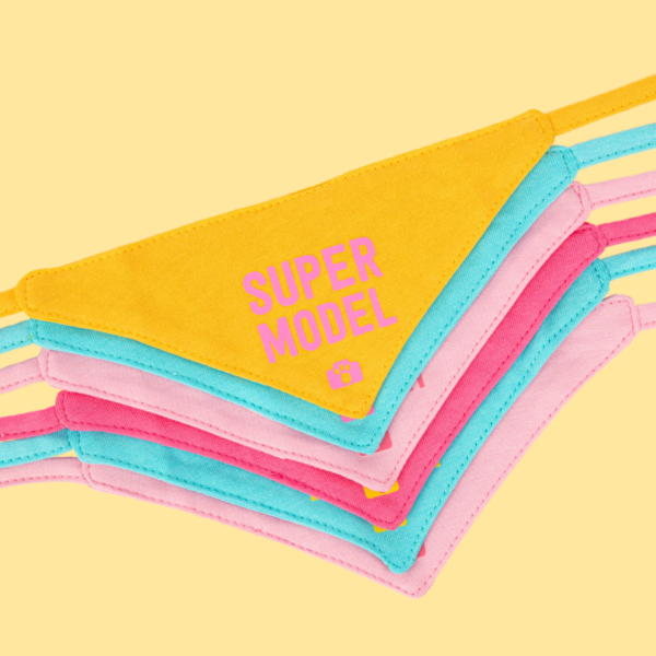bandana set voor pluche knuffels in verschillende kleuren met tekst super model