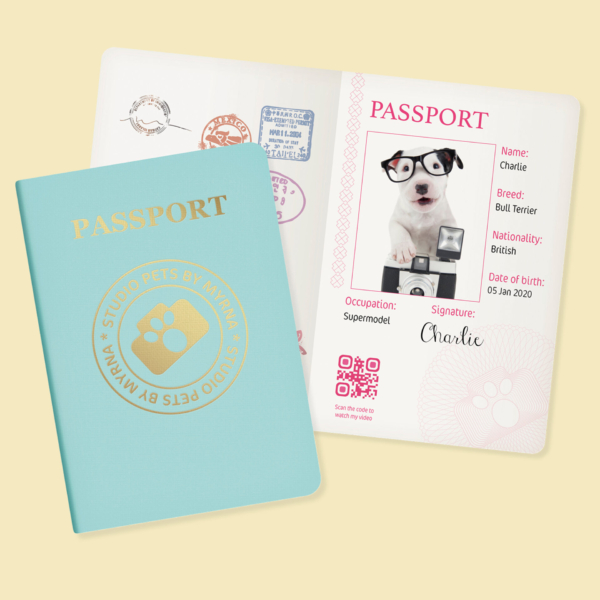 studio-pets-pluche-knuffel-hond-bull-terriër-paspoort-charlie-23cm studio pets pluche knuffelhond bull terrier paspoort