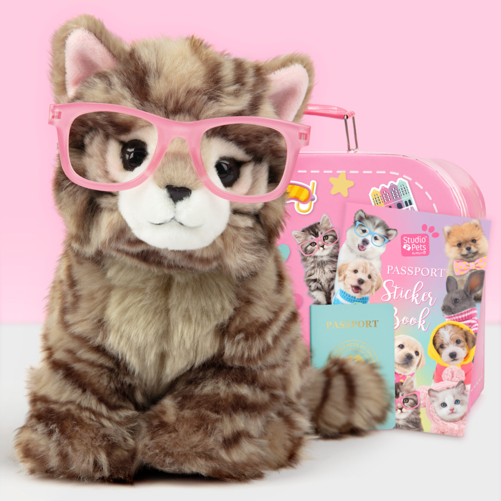 Pluche knuffelkat Britse langhaar met roze bril 23 cm, roze koffer, stickerboek en paspoort