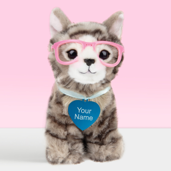 Pluche knuffeldier britse langhaar kitten 16 cm met blauwe naamtag