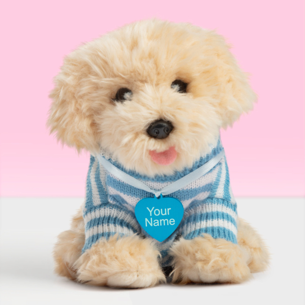 Gepersonaliseerde pluche knuffelhond labradoodle met blauwe naamtag