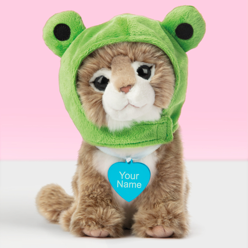 Gepersonaliseerde Pluche knuffelkat Main Coon met blauwe naamtag
