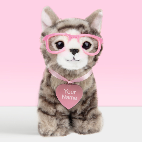 Pluche knuffeldier britse langhaar kitten 16 cm met roze naamtag