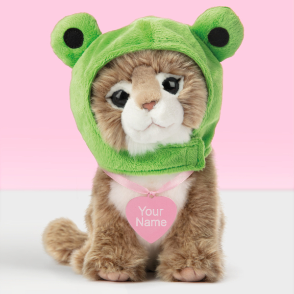 Pluche knuffelkat Main Coon met kikkermuts 23 cm