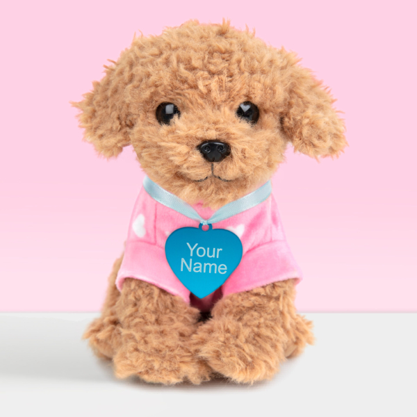 Studio Pets knuffelhondje poedel Cookie met blauwe naamtag