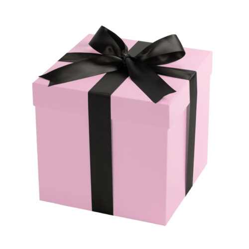 Studio Pets by Myrna official store - cadeaudoos of gift box. De leukste ingepakte pluche knuffels en dierenknuffels.