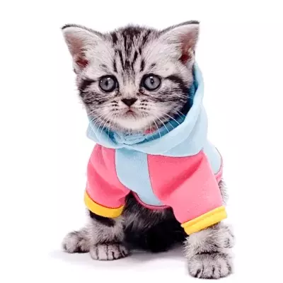 Studio-Pets-Kitten-Tabby knuffel kitten tabby