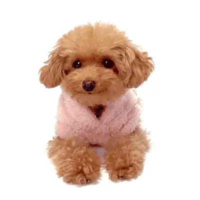 Studio-Pets-Puppy-Cookie Knuffelhondje Little Flo