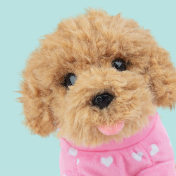 6216-studio-pets-toy-poodle-puppy-cookie-23cm-close-up-plush