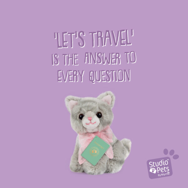 studio-pets-british-shorthair-kitten-bella-8cm-plush-placeholder-set