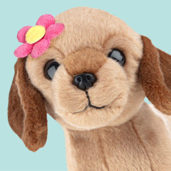 studio-pets-dachsund-puppy-daisy-16cm-close-up-plush