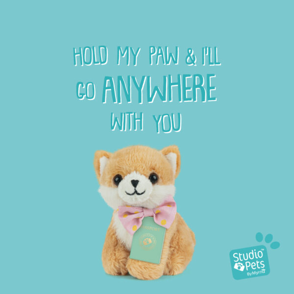 studio-pets-pomeranian-puppy-pompom-8cm-plush-placeholder-set