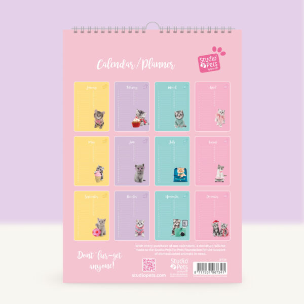 studio-pets-british-shorthair-kitten-back-calendar studio-pets-british-shorthair-kitten-back-calendar