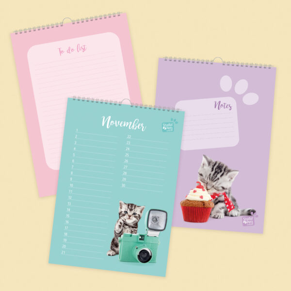 studio-pets-british-shorthair-kitten-inside-calendar studio-pets-british-shorthair-kitten-inside-calendar