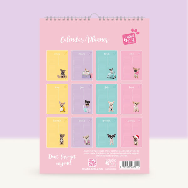 studio-pets-chihuahua-pinkie-puppy-back-calendar