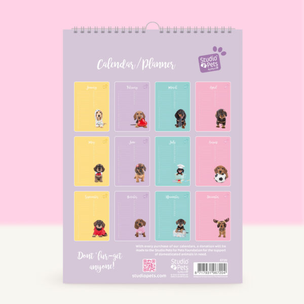 studio-pets-dachshund-puppy-back-calendar studio-pets-dachshund-puppy-back-calendar