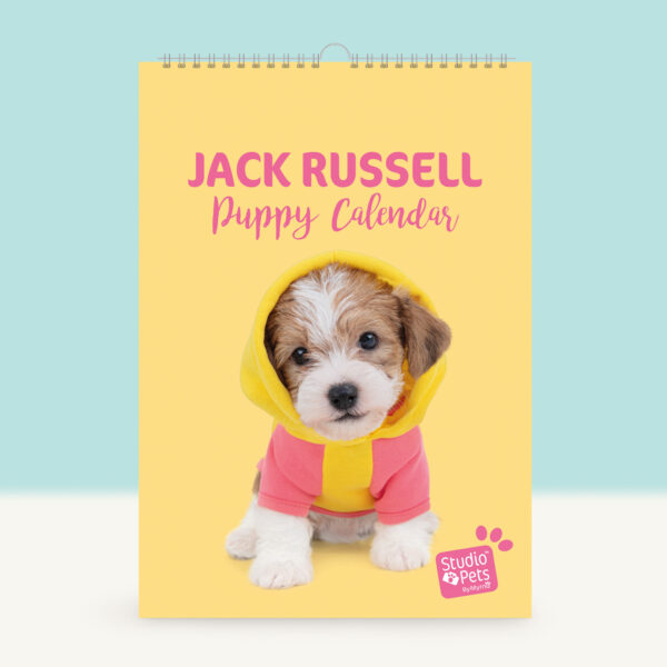 studio-pets-jack-russell-jacky-puppy-cover-calendar