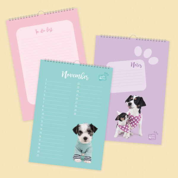 studio-pets-jack-russell-jacky-puppy-inside-calendar