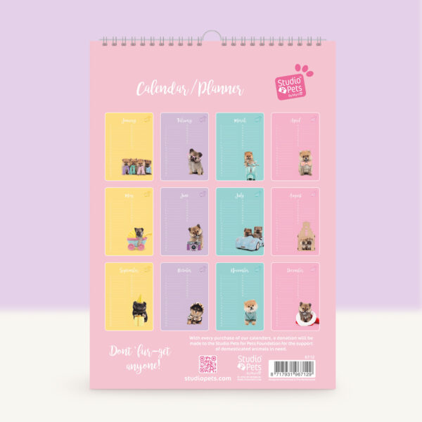 studio-pets-pompom-pomeranian-puppy-back-calendar