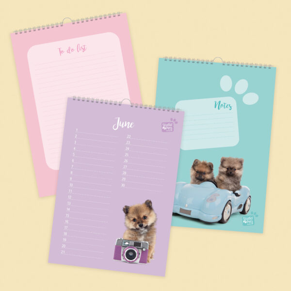 studio-pets-pompom-pomeranian-puppy-inside-calendar