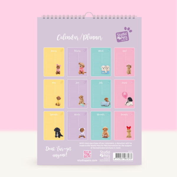 studio-pets-toy-poedel-cookie-puppy-back-calendar