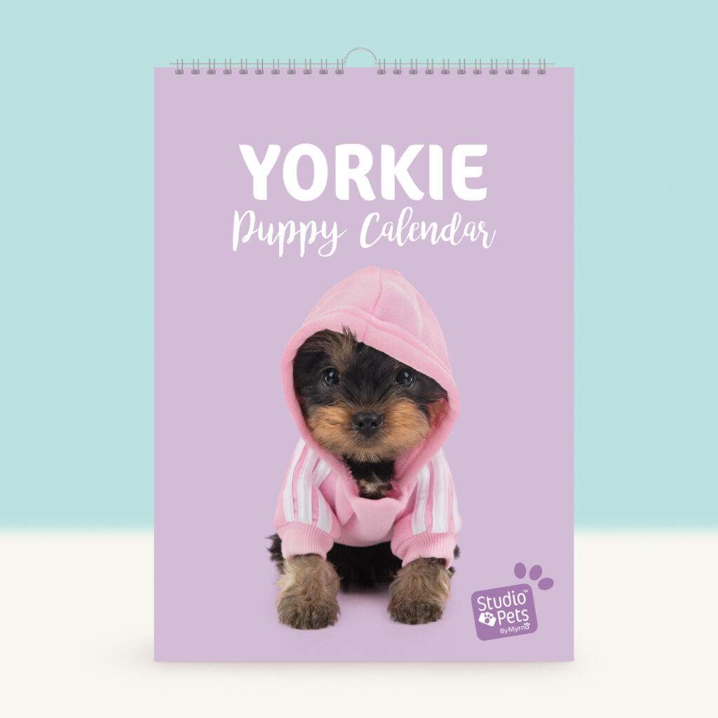 studio-pets-yorkie-puppy-cover-calendar