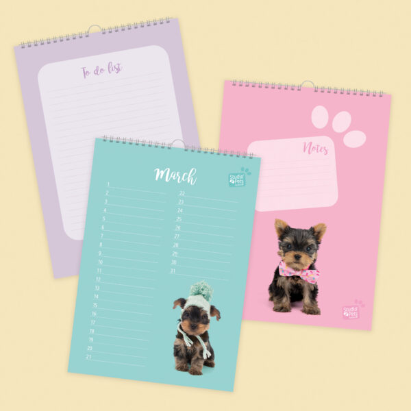 studio-pets-yorkie-puppy-inside-calendar
