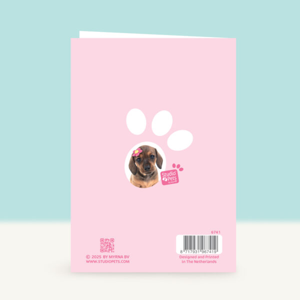 studio-pets-dachshund-daisy-puppy-front-back-birthday-card