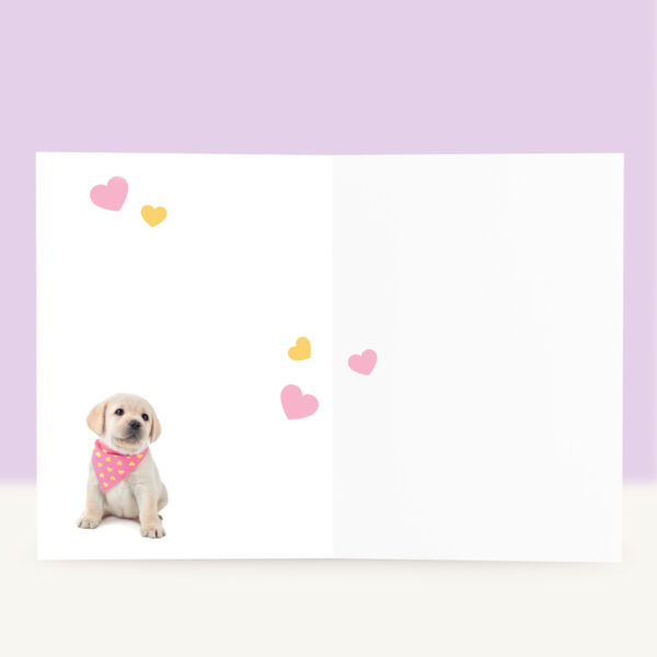 studio-pets-labrador-happy-puppy-inside-birthday-card