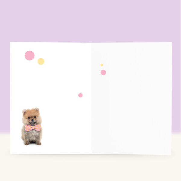 studio-pets-pomeranian-pompom-puppy-inside-birthday-card
