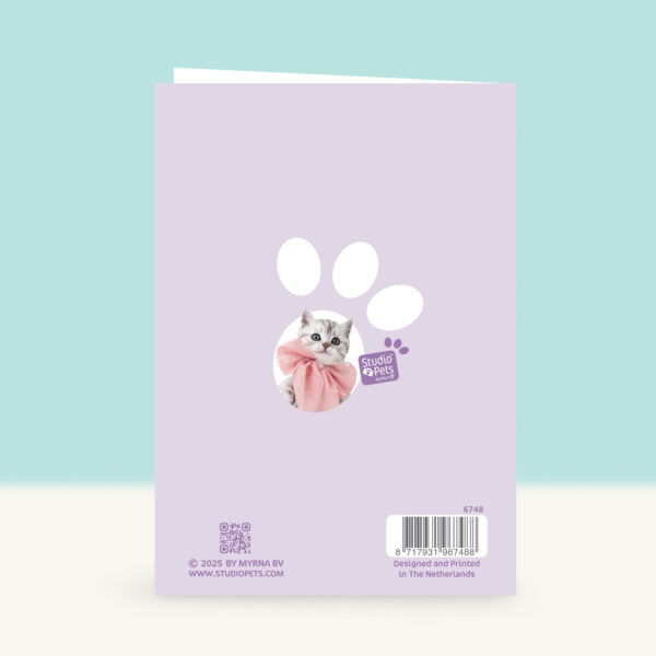 studio-pets-shorthair-bella-kitten-front-back-birthday-card studio-pets-shorthair-bella-kitten-front-back-birthday-card