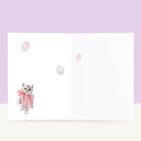 studio-pets-shorthair-bella-kitten-inside-birthday-card studio-pets-shorthair-bella-kitten-inside-birthday-card