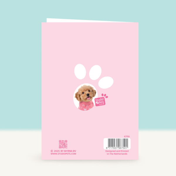 studio-pets-toy-poedel-cookie-puppy-front-back-birthday-card