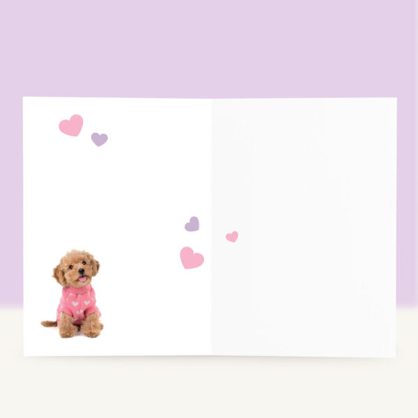 studio-pets-toy-poedel-cookie-puppy-inside-birthday-card