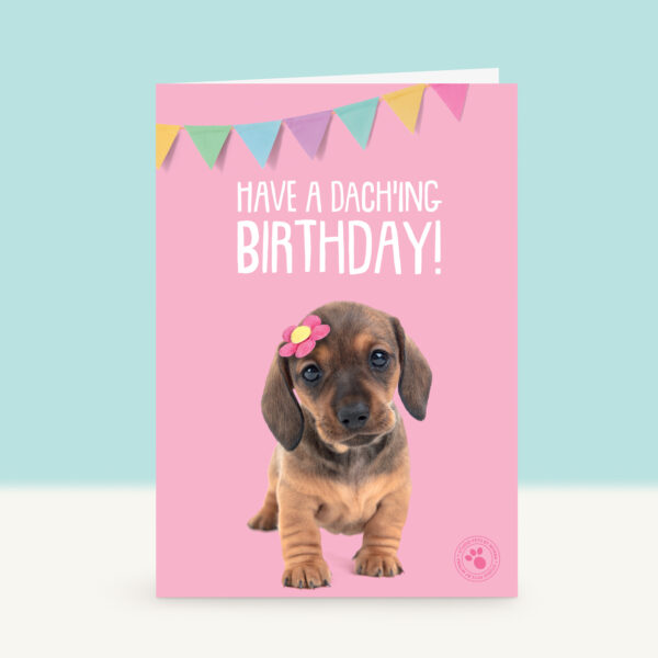 studio-pets-dachshund-daisy-puppy-front-new-birthday-card