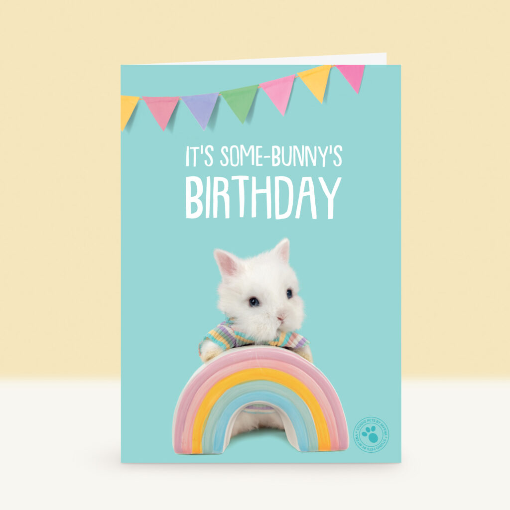 studio-pets-dwarf-bunbun-bunny-front-new-birthday-card