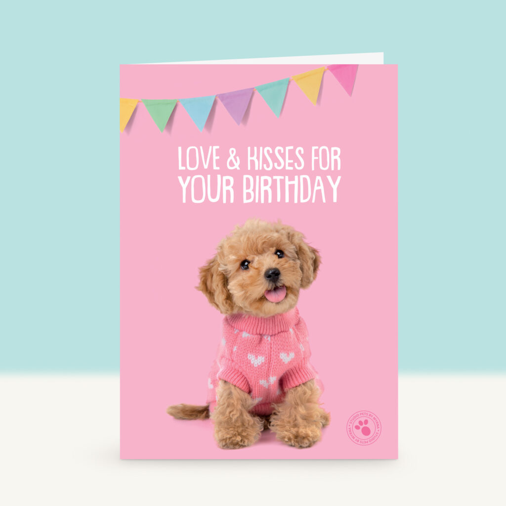 studio-pets-toy-poedel-cookie-puppy-front-new-birthday-card