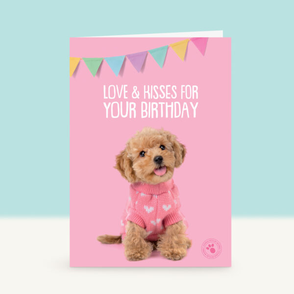studio-pets-toy-poedel-cookie-puppy-front-new-birthday-card
