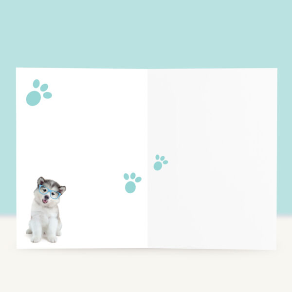 studio-pets-alaskan-malamut-wolfie-puppy-inside-beterschapskaart