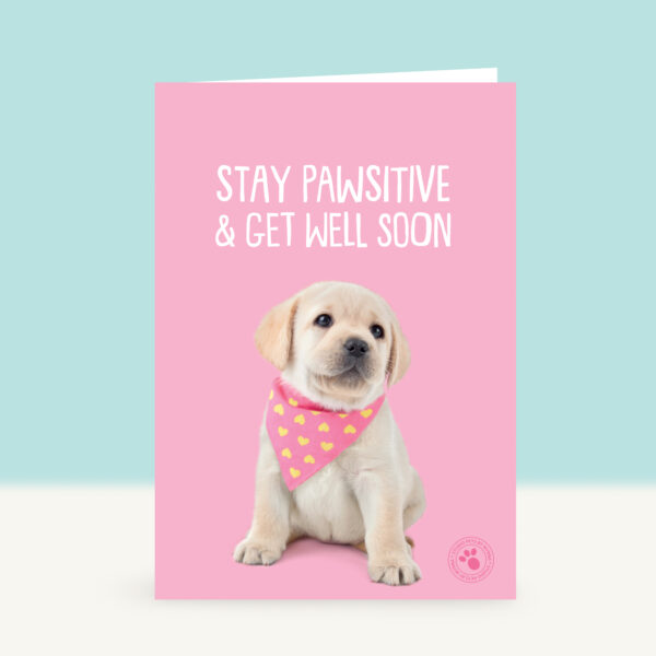 studio-pets-labrador-happy-puppy-front-beterschapskaart studio-pets-labrador-happy-puppy-front-beterschapskaart