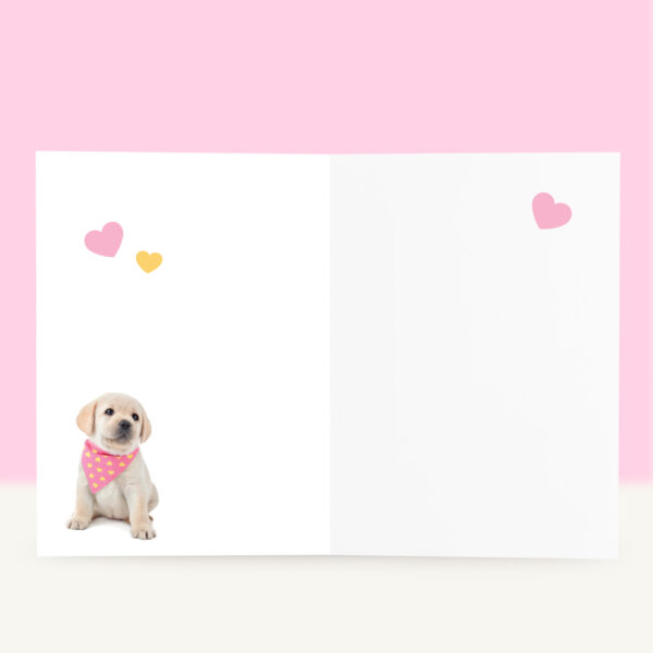 studio-pets-labrador-happy-puppy-inside-beterschapskaart studio-pets-labrador-happy-puppy-inside-beterschapskaart