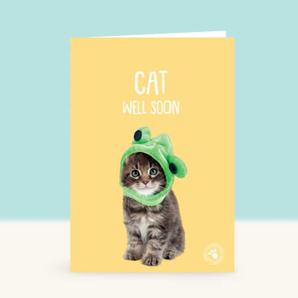 studio-pets-main-coon-prince-kitten-front-beterschapskaart