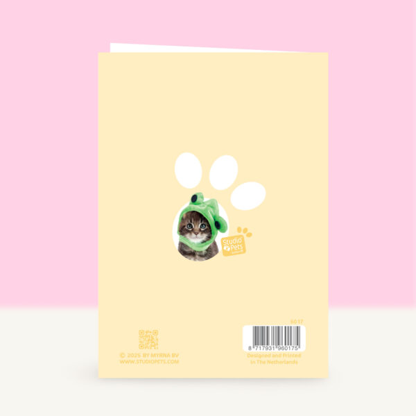 studio-pets-main-coon-prince-kitten-nl-back-beterschapskaart