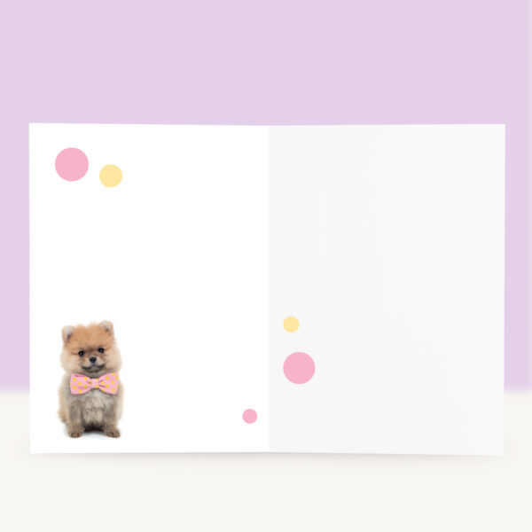 studio-pets-pomeriaan-pompom-puppy-nl-inside-beterschapskaart