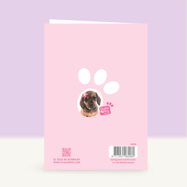 studio-pets-teckel-daisy-puppy-back-beterschapskaart