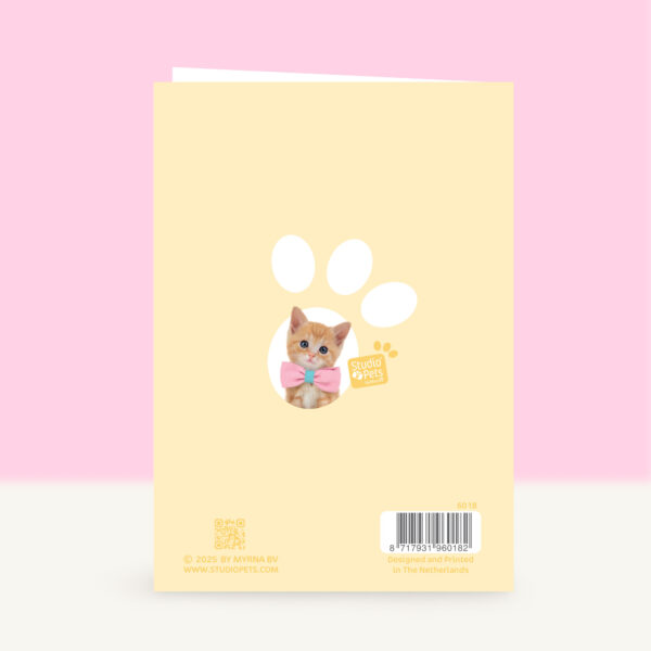 studio-pets-tomcat-tommy-kitten-nl-back-beterschapskaart studio-pets-tomcat-tommy-kitten-nl-back-beterschapskaart