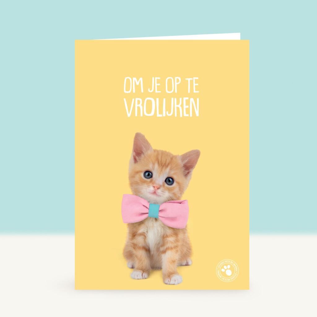 studio-pets-tomcat-tommy-kitten-nl-front-beterschapskaart studio-pets-tomcat-tommy-kitten-nl-front-beterschapskaart