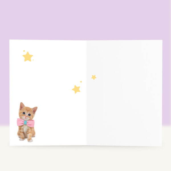 studio-pets-tomcat-tommy-kitten-nl-inside-beterschapskaart studio-pets-tomcat-tommy-kitten-nl-inside-beterschapskaart