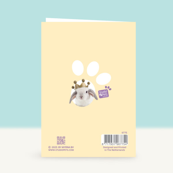 studio-pets-bunny-hoppy-birthday-back-funky-card studio-pets-bunny-hoppy-birthday-back-funky-card