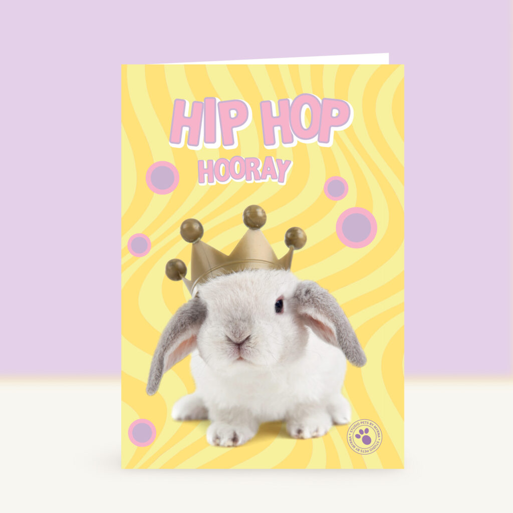 studio-pets-bunny-hoppy-birthday-front-funky-card studio-pets-bunny-hoppy-birthday-front-funky-card